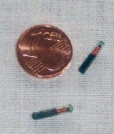 mikrochip